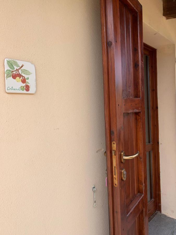 Agriturismo Terra Noas Villaurbana Екстериор снимка